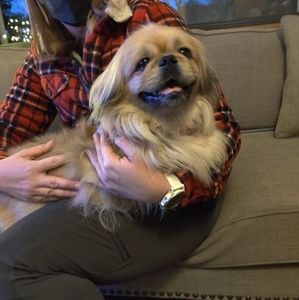 Meet your Posher, Melody